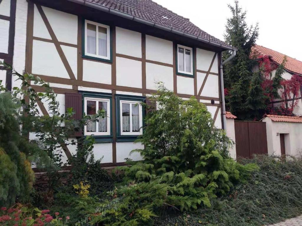 a white and brown house with trees and bushes at Gästhaus in Eilenstedt