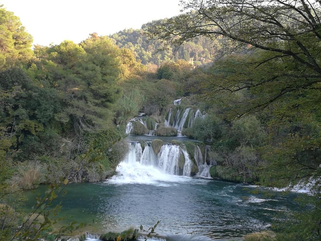 Guesthouse Villa DomeNico, Lozovac (updated prices 2025) - 18