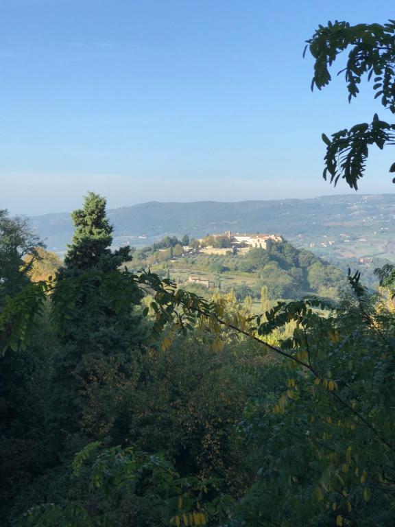 una casa en la cima de una colina con árboles en House in Central Todi with Sensational Views of Surrounding Countryside, en Todi