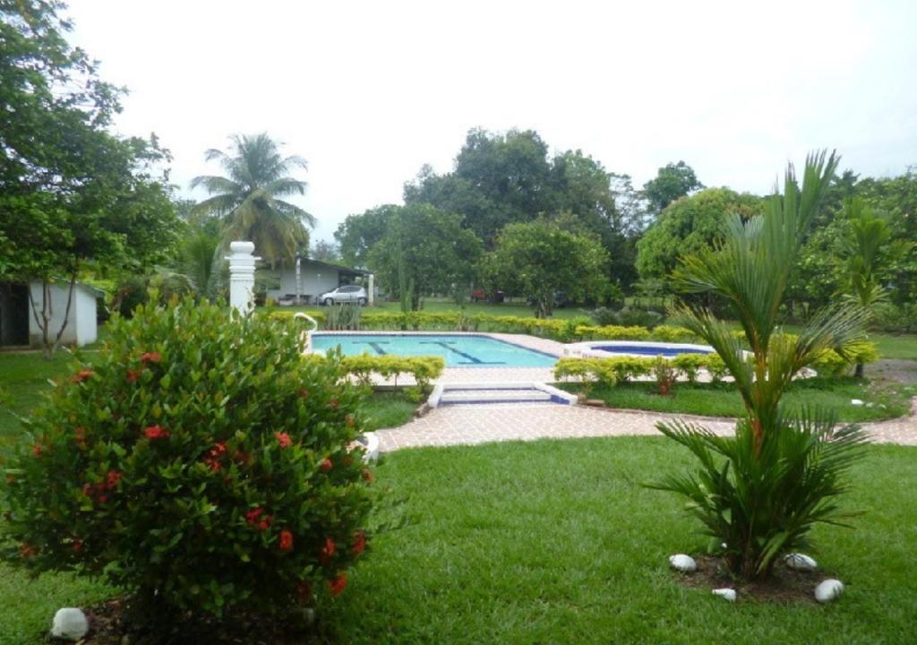 un cortile con piscina e alcune piante di Finca Campestre con Piscina en Villavicencio a Granja El Hachón