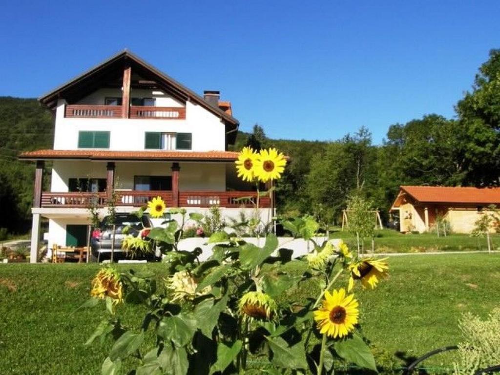 Guest House Robert