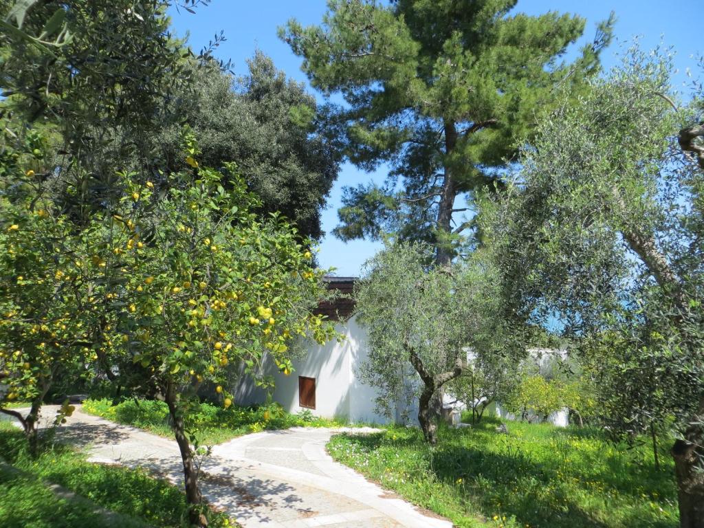 Zahrada ubytování Villaggio Hotel Ripa