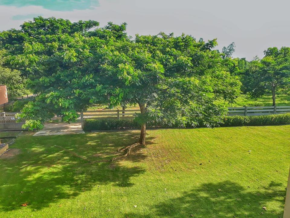 Zahrada ubytování Kampu Nature Pool Villa Rayong