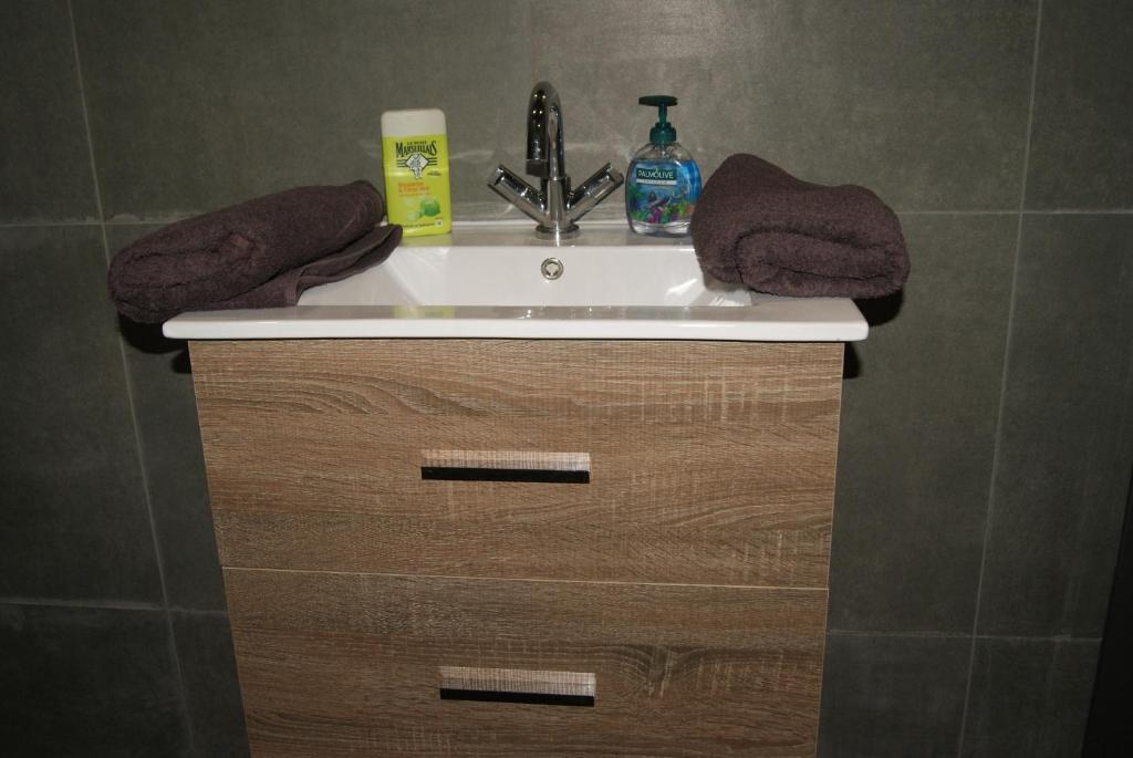 a sink in a bathroom with a sink at Appartement Studio Tournai in Tournai