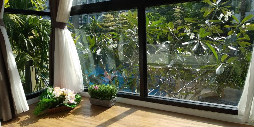 uma janela com dois vasos de plantas num piso de madeira em Dusit Grand Park Condo em Pattaya Sul