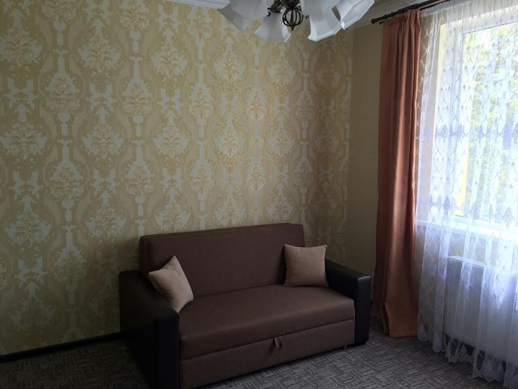 トラスコヴェッツにあるАпартаменти Помірецька/Шашкевичаのリビングルーム(ソファ、窓付)