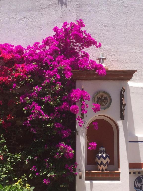 Fotografie z fotogalerie ubytování Sanbernabé tres v destinaci Guanajuato