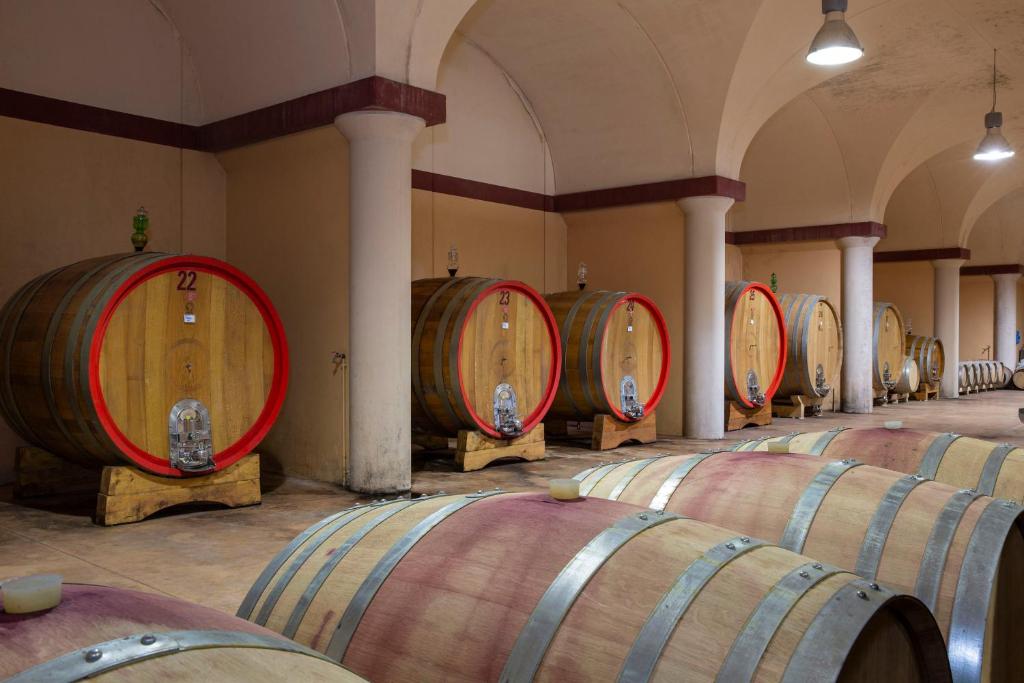 a row of wine barrels in a room at Borgo Argiano in Castelnuovo Berardenga