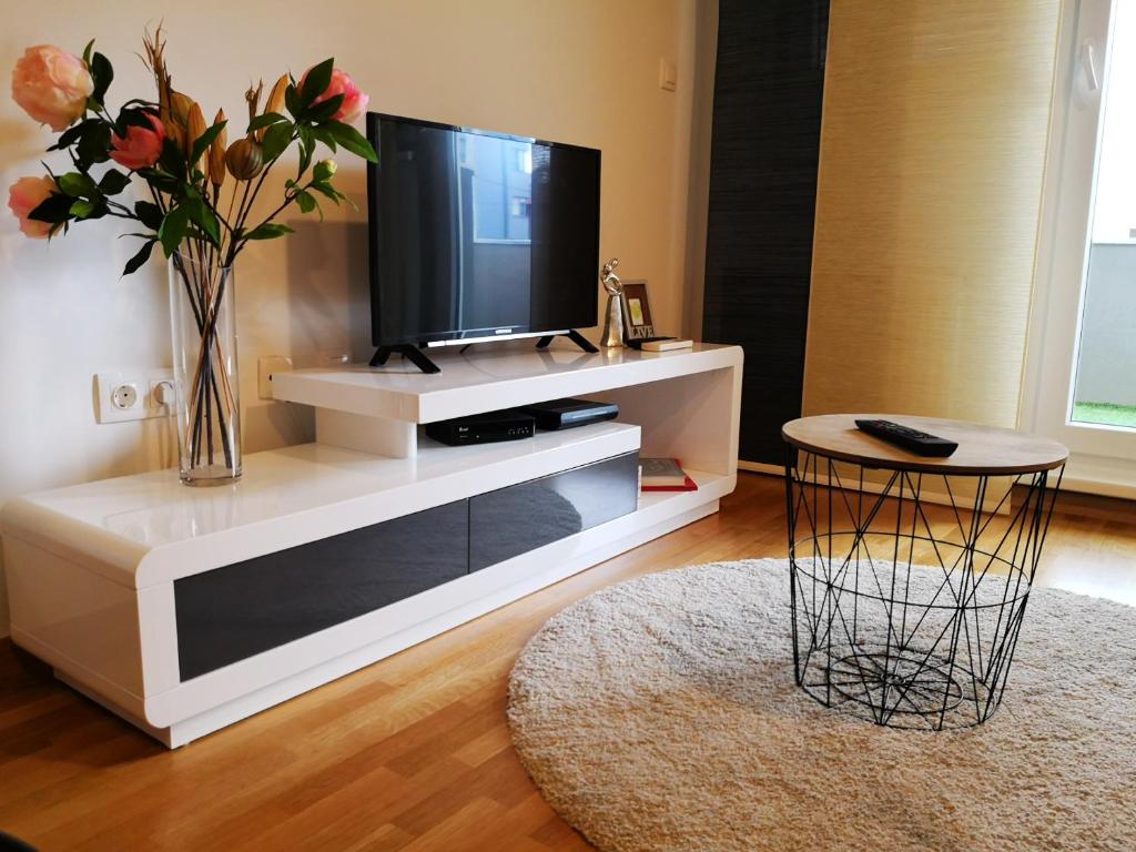 Televízia a/alebo spoločenská miestnosť v ubytovaní Apartman Bilja 3*