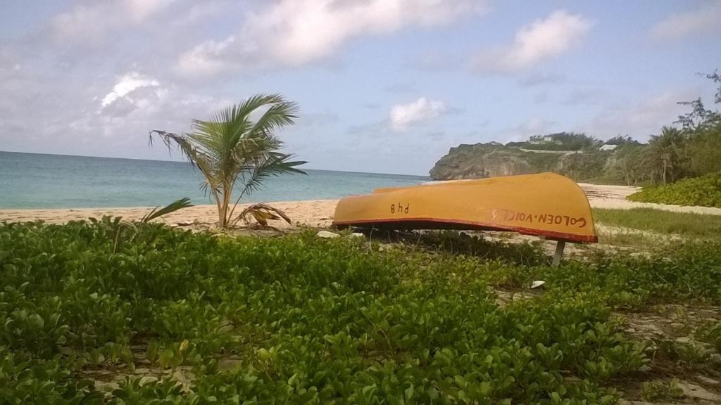 a yellow boat on the beach with a palm tree at The Pool House in Saint Philip