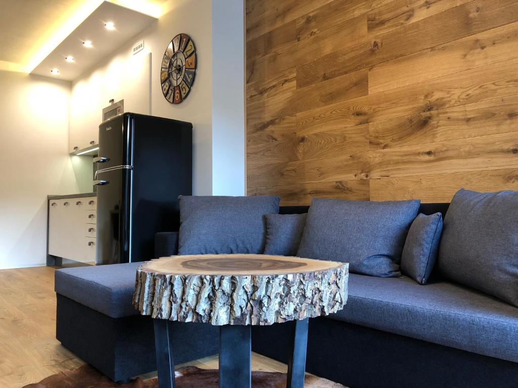 Kuchyň nebo kuchyňský kout v ubytování Apartmán Jestřáb č.15