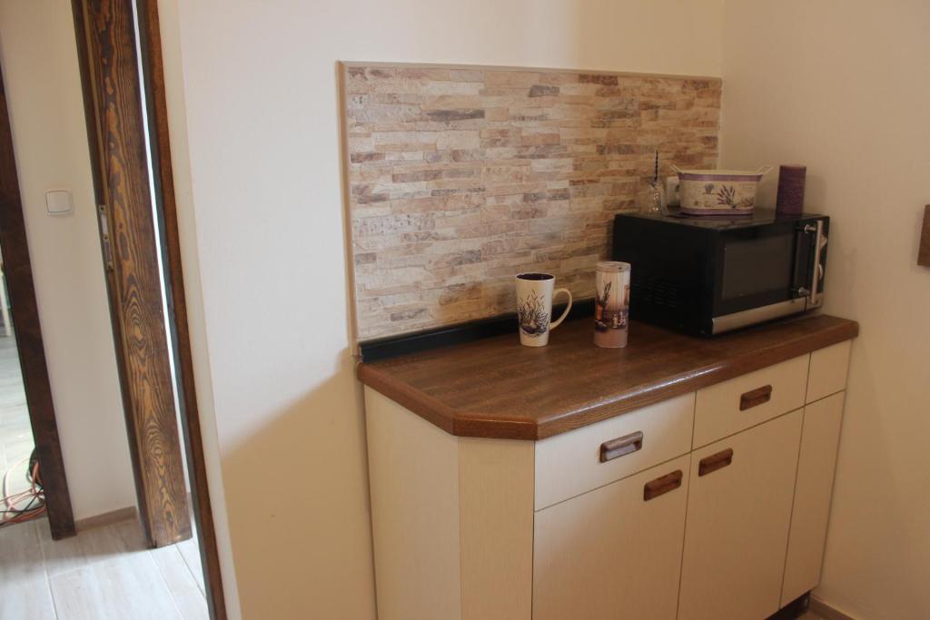 Kuchyň nebo kuchyňský kout v ubytování Apartmán Beskydy