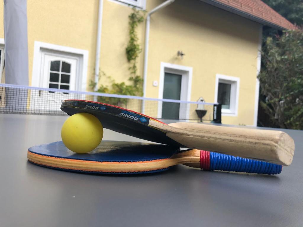 Tenis alebo squash v ubytovaní Appartement in Graz-Geidorf alebo jeho okolí