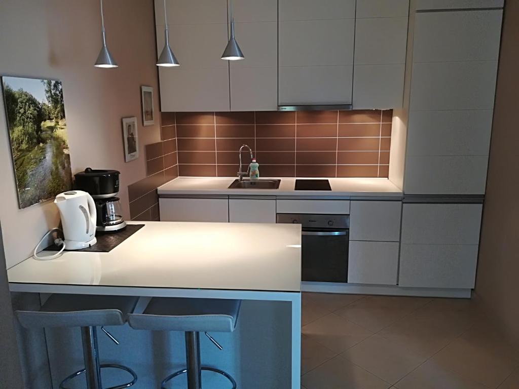 Kuchyň nebo kuchyňský kout v ubytování House Marijana Sibenik