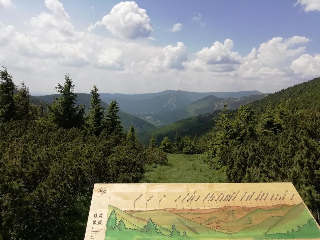 Przyroda w pobliżu tego apartamentu