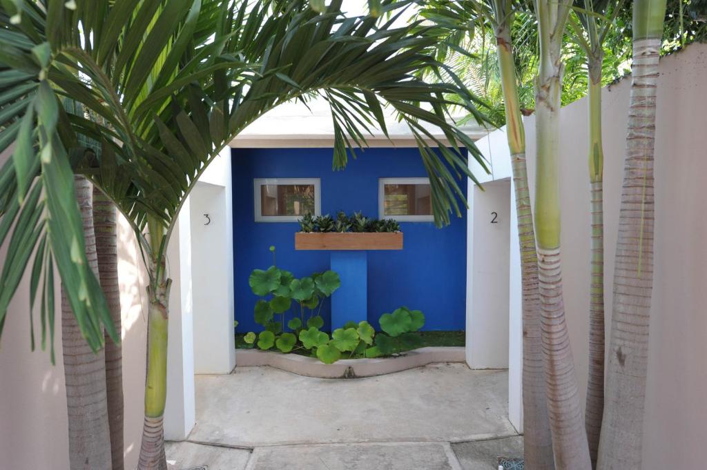 Zahrada ubytování 4 Casitas