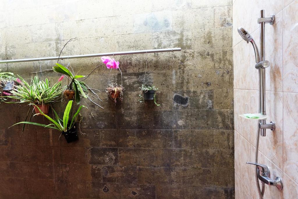 una doccia con piante in vaso su un muro di Rendira Villa ad Ubud