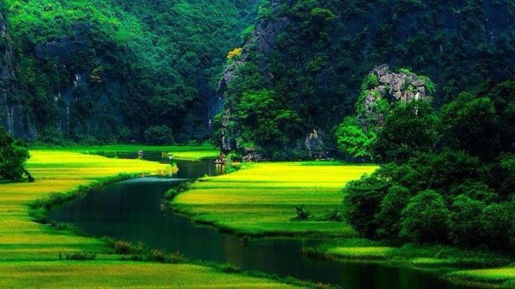 Mr. Viet home stay - 14