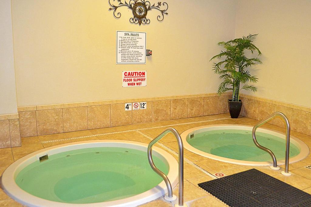 a jacuzzi tub in a bathroom with a plant at Plantation Palms in Gulf Shores