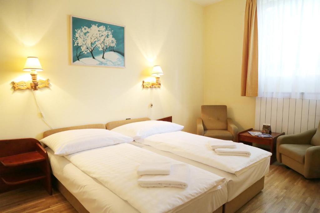 een hotelkamer met een bed en een stoel bij Hotel Bara Gellért in Boedapest