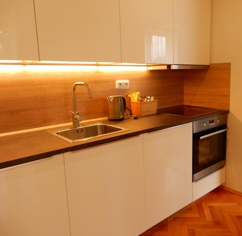 Kuchyň nebo kuchyňský kout v ubytování Apartmán Stožec