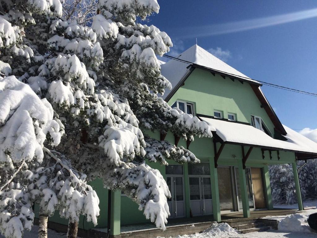 een groen huis met sneeuw op de takken van een boom bij Vila Premijer Divčibare in Divčibare