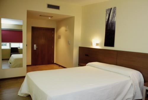 una camera da letto con un grande letto bianco e uno specchio di Hotel Izelai ad Alsasua