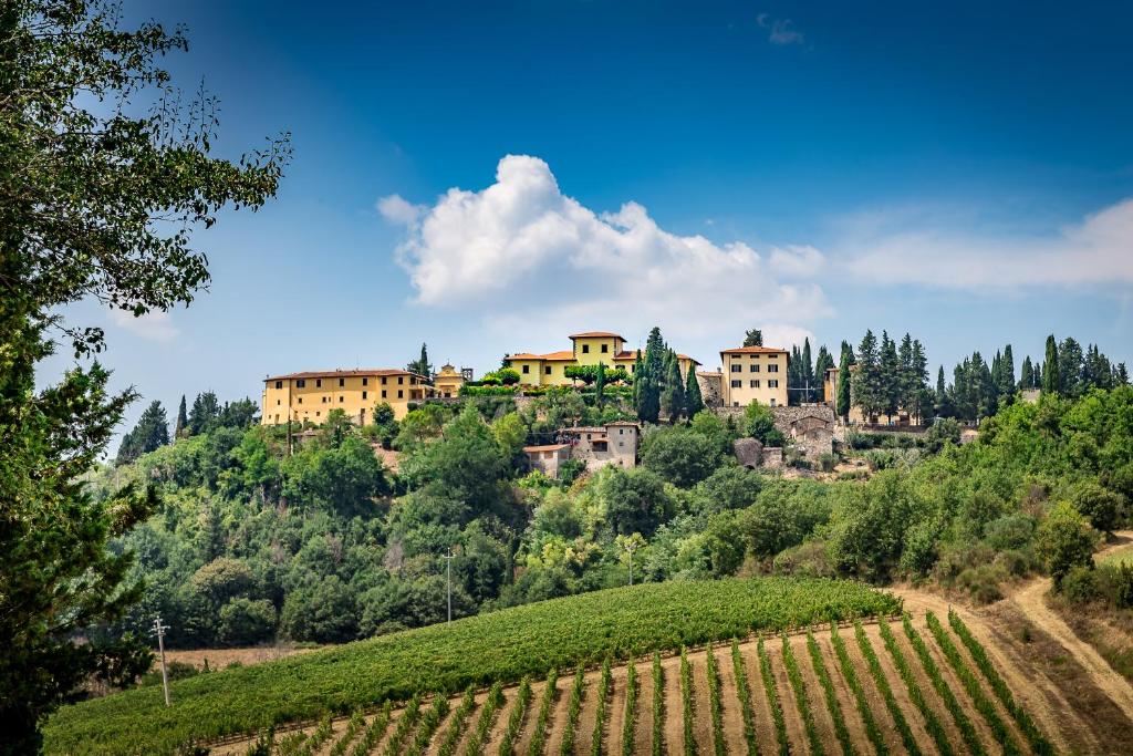 uma aldeia no topo de uma colina ao lado de uma vinha em Villa S.Andrea em San Casciano in Val di Pesa