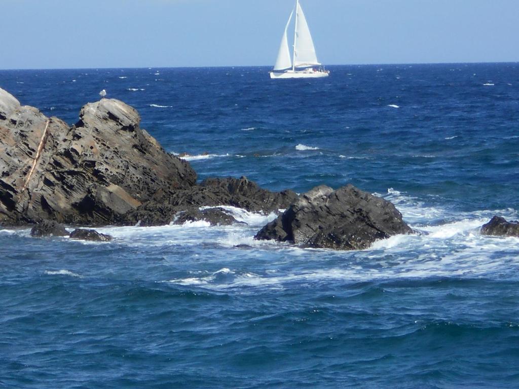 a sail boat in the middle of the ocean at Le Case Punta Negra in Stintino