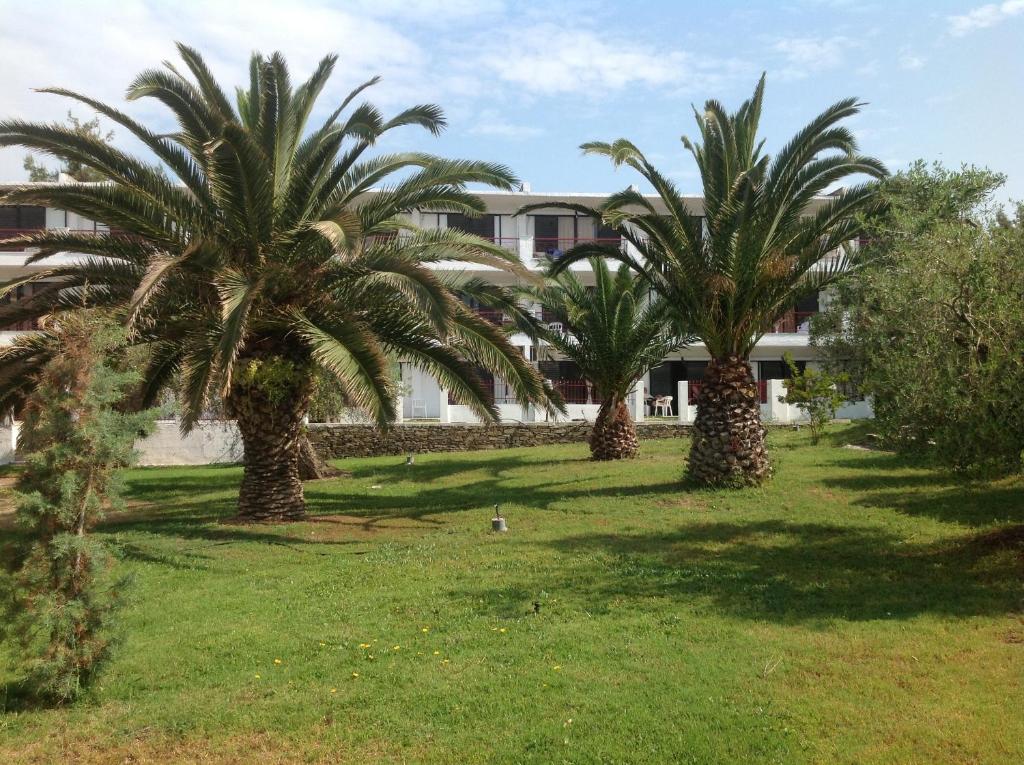 Zahrada ubytování Porto Matina