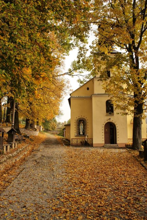 Fotografie z fotogalerie ubytování Chata Alpina v Ružomberku
