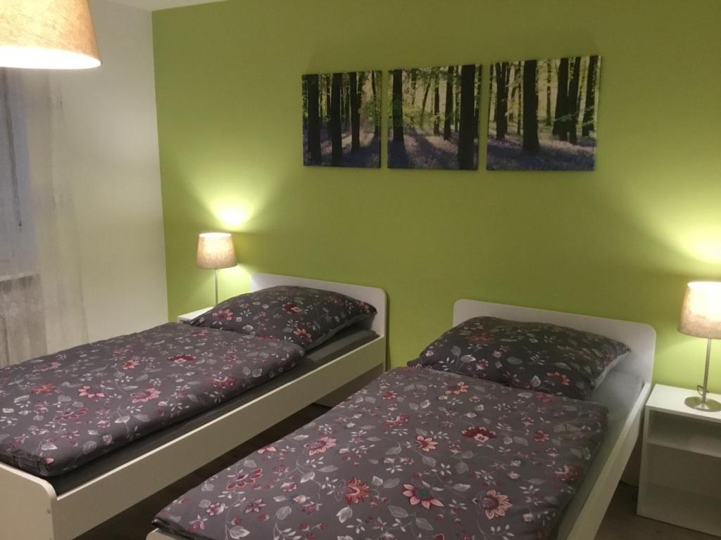 two beds in a room with green walls at Sulzberg in Lahr