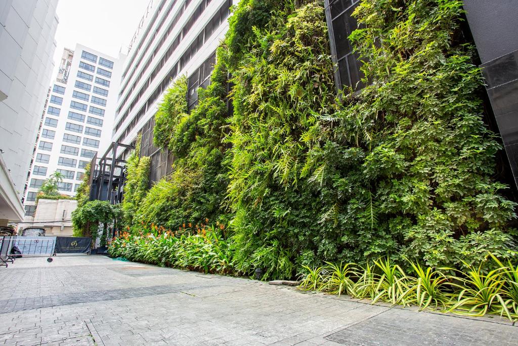 Graceland Bangkok by Grace Hotel - SHA Extra Plus - Resim 11