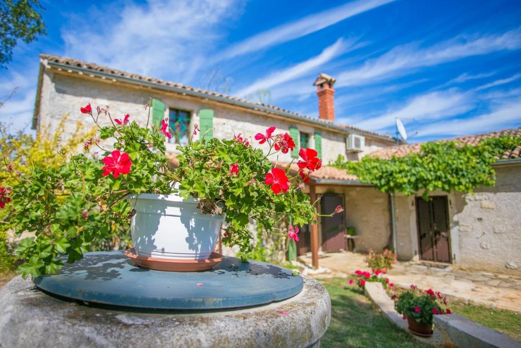 Zahrada ubytování Unique Villa Bošket with Pool and Jacuzzi surrounded by Nature