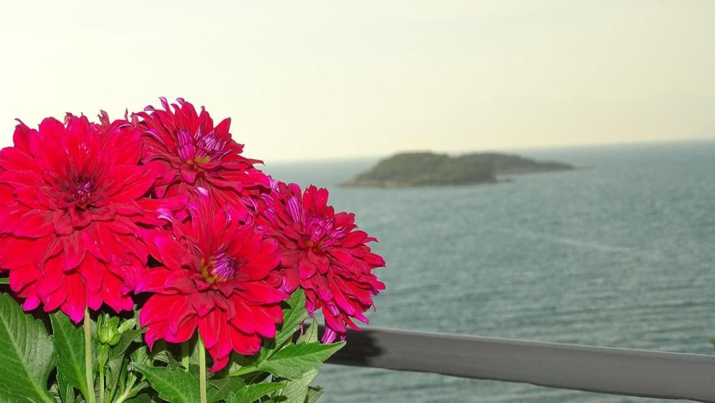 een boeket rode bloemen op een balkon met uitzicht op de oceaan bij Hotel Meta Ksamil in Ksamil