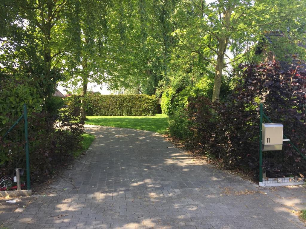 Zahrada ubytování Villa Kokeliko