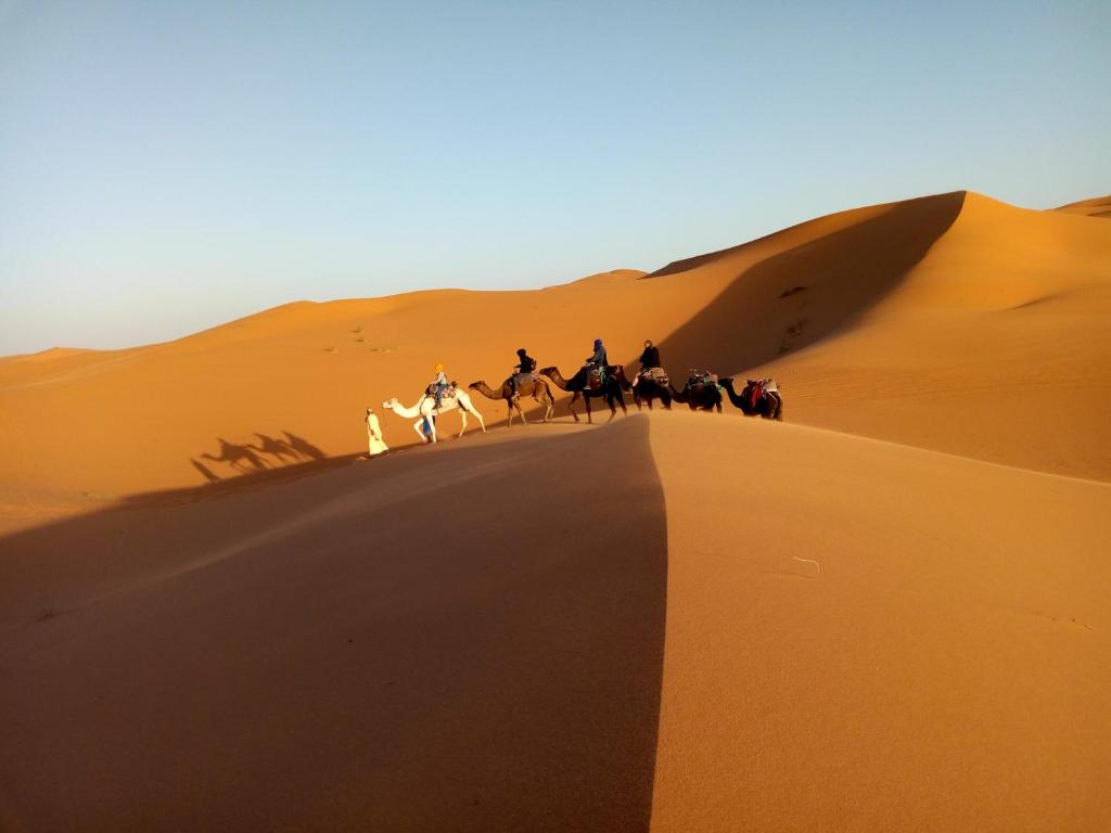 un grupo de gente montando caballos en el desierto en Camels House en Merzouga
