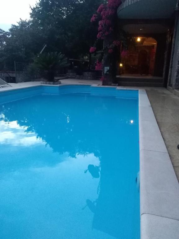 Apartments Villa Čučuk - 12