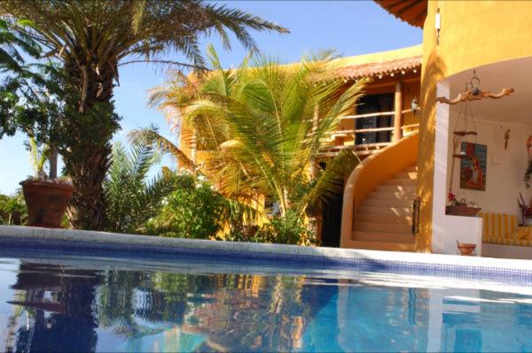 a swimming pool in front of a house with palm trees at StevieWonderLand Playa El Yaque in El Yaque