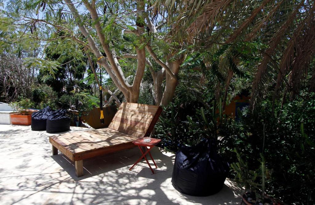Zahrada ubytování StevieWonderLand Playa El Yaque