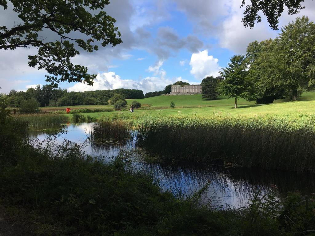 a pond in a field with a building in the background at Curraghchase Cottage in Kilcornan