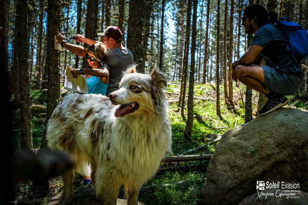 Hosté ubytování Chalet Ma Neou