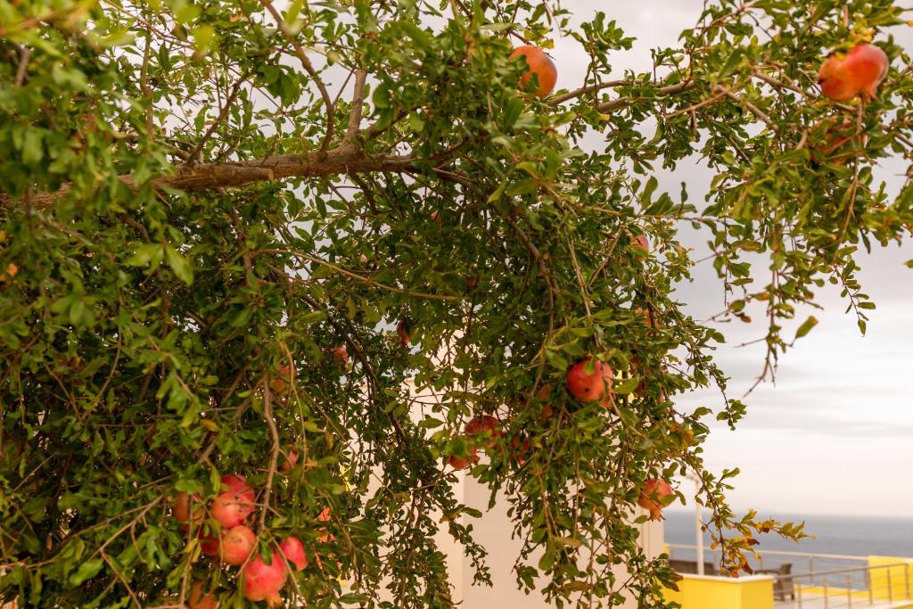 Fotografia z galérie ubytovania Nisaki Villa v destinácii Agios Nikolaos