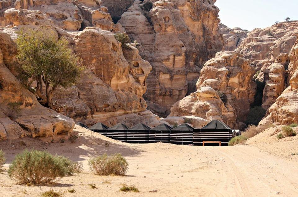 ワディ・ムーサにあるAmmarin Bedouin Campの砂漠の建物を持つ岩山