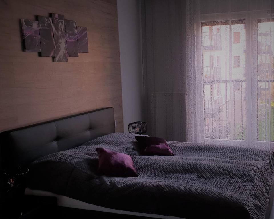 a bedroom with a bed with purple pillows and a window at Apartament New York Różana 19 in Poznań