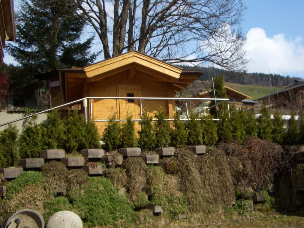 Příroda nedaleko bed and breakfast