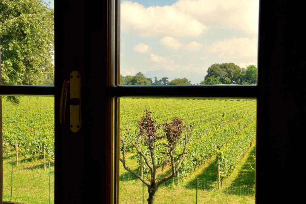 Zahrada ubytování B&B Cascina in Franciacorta