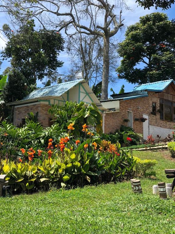 Jardí fora de Tribu EcoHostal