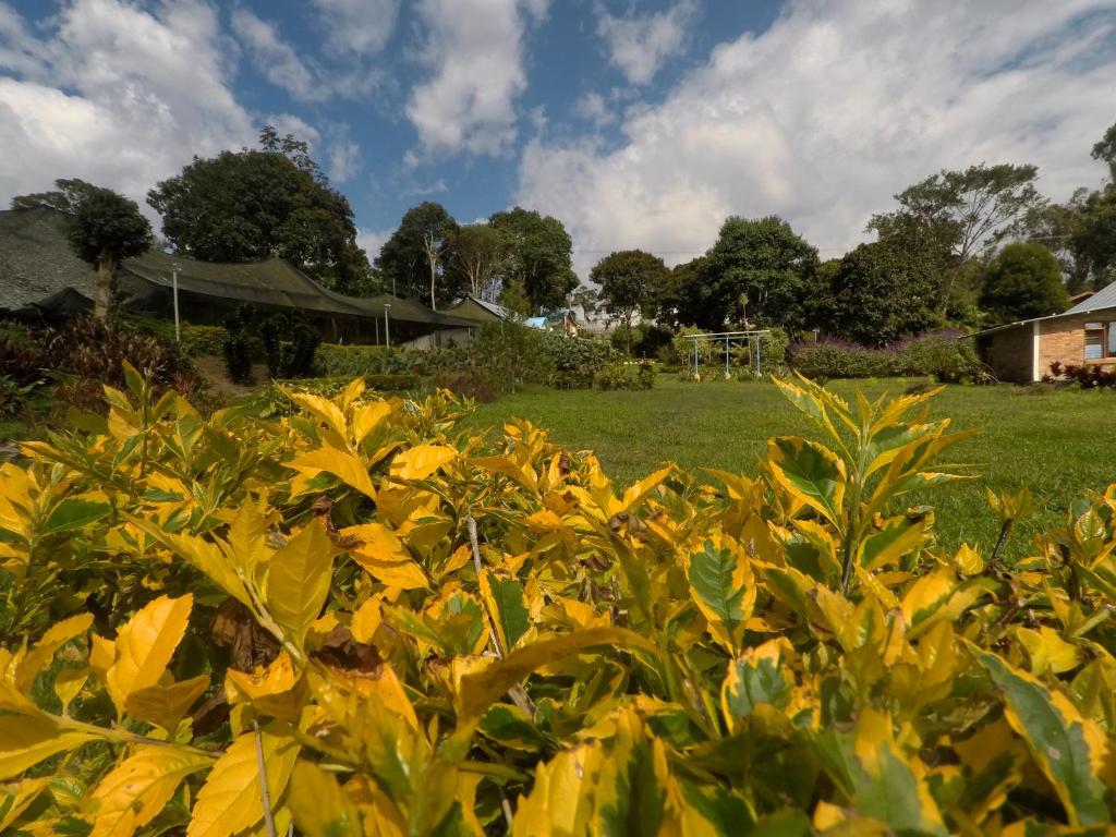 Jardí fora de Tribu EcoHostal