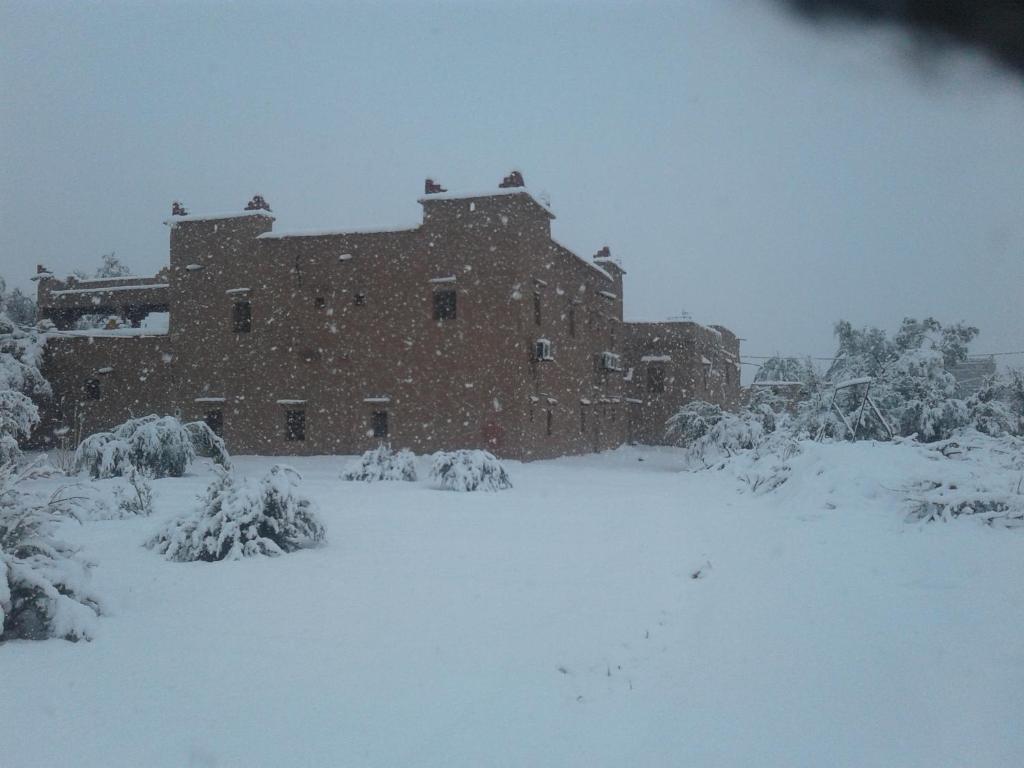Kasbah Dar Dmana - Standard Single Room